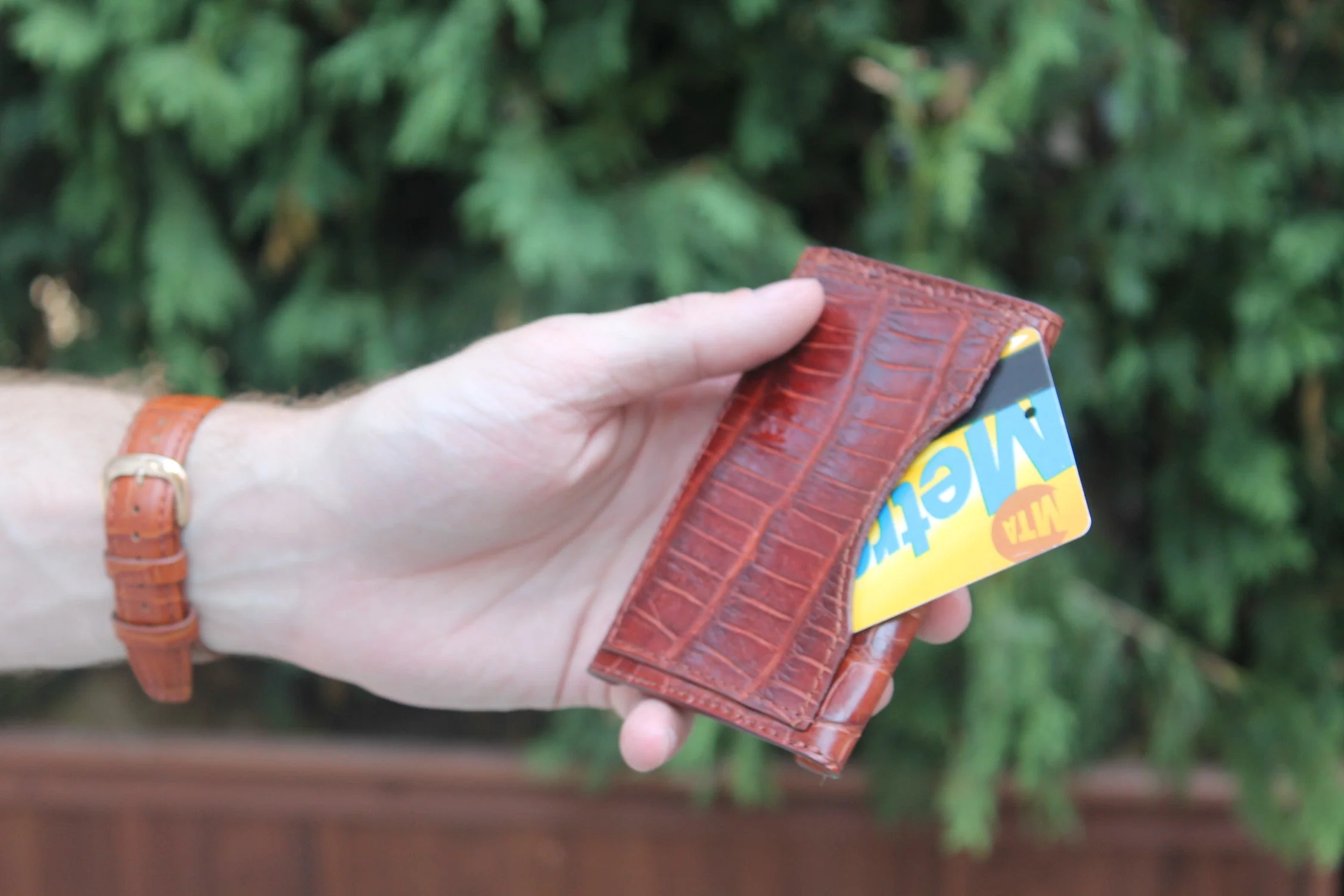 Thumbnail 11